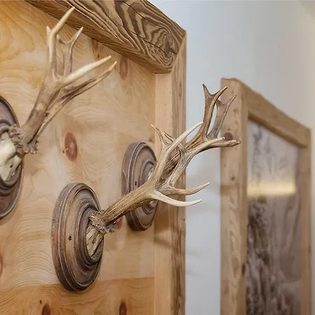 Fernblick Apartament Mayrhofen