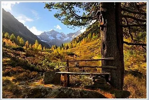 Appartement Fernblick *